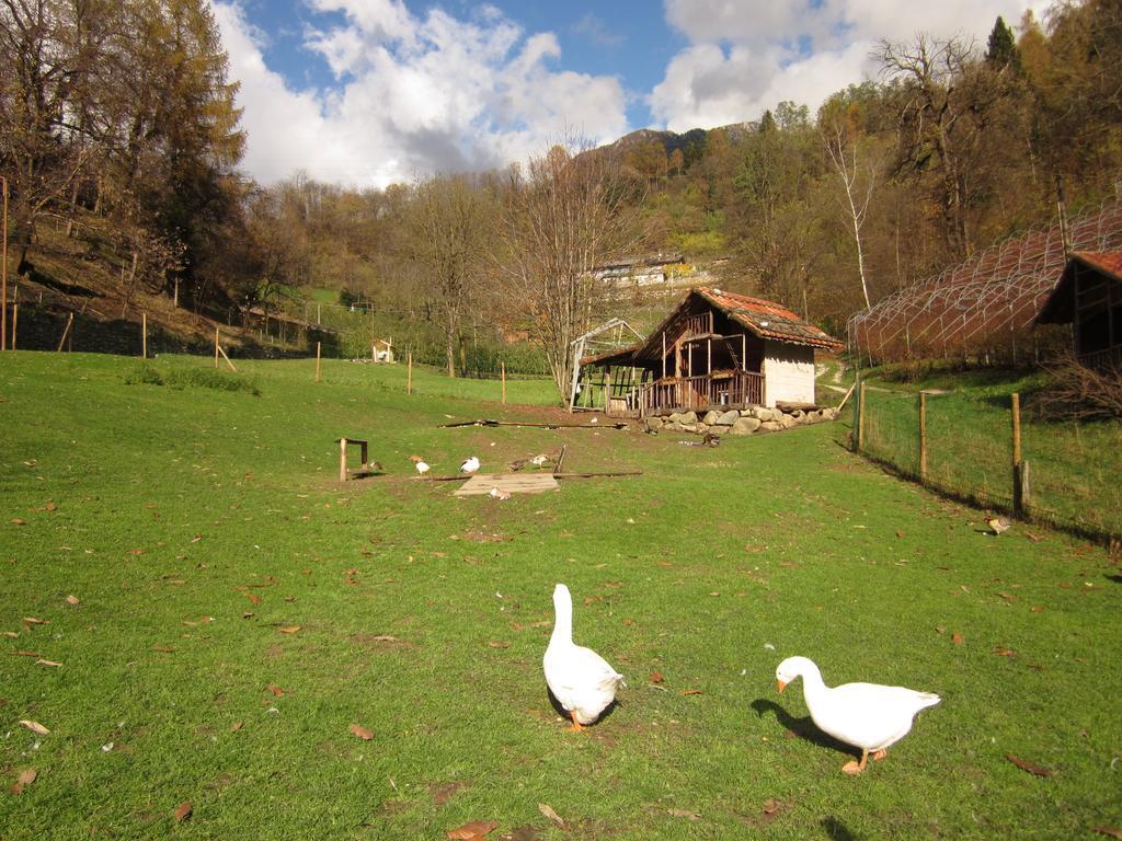 B&B Al Larice Strigno Zewnętrze zdjęcie